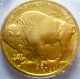 2010 American Buffalo One Ounce Gold Coin - - - Nr Gold photo 1
