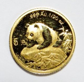 1999 China Gold Panda 5 Yuan 1/20 Oz.  Bullion Proof Coin.  999 Gold photo