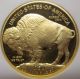 2008 - W Proof 1 Oz $50 Gold American Buffalo Ngc Certified Pf 70 Ultra Cameo Gold photo 2