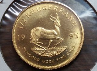 1995 1/2 Oz South Africa Gold Krugerrand Coin Half Ounce Fine Gold photo