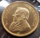 1995 1/2 Oz South Africa Gold Krugerrand Coin Half Ounce Fine Gold Gold photo 4