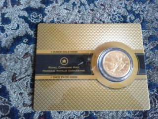 2007 Canada Maple Leaf 1oz.  99999 Fine Gold Coin 1 Oz $200 Canadian 99.  999 Gold photo