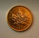 2009 1 Oz Gold Canadian Maple Leaf Coin.  9999 Pure $50 (cad) Quality Gold photo 1