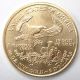 2003 United States 1/10 Oz Gold $5 American Eagle (bu) Gold photo 1