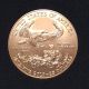 1/2 Oz $25.  00 Gold American Eagle,  2010 Gold photo 1