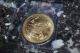 2014 Gold American Eagle Coin 1oz Gold photo 2