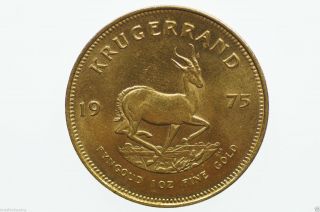 South Africa 1975 1oz Fine Gold Krugerrand In Uncirculated photo