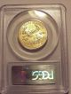 2004 American Eagle Gold $25 Gold Pcgs Ms70 Gold photo 1