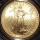 2007 - W $10 Gold American Eagle 1/4 Oz U.  S.  Certified Uncirculated Box,  Cofa Gold photo 2
