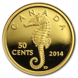 2014 1/25 Oz Gold Canadian $0.  50 Sea Creatures - Seahorse - Box And Certificate photo