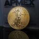 2013 1/2 Oz.  Gold American Eagle $25 Coin In Apmex Package S/h Gold photo 4