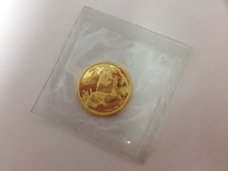 2007 China Panda 100 Yuan 1/4 Oz Gold Coin In Chinese Plastic photo