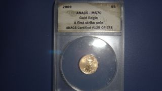 2009 Gold Eagle Anacs - Ms70 5$ 1//10oz photo