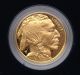 2006 - W 1 Oz Proof Gold Buffalo (w) Gold photo 1