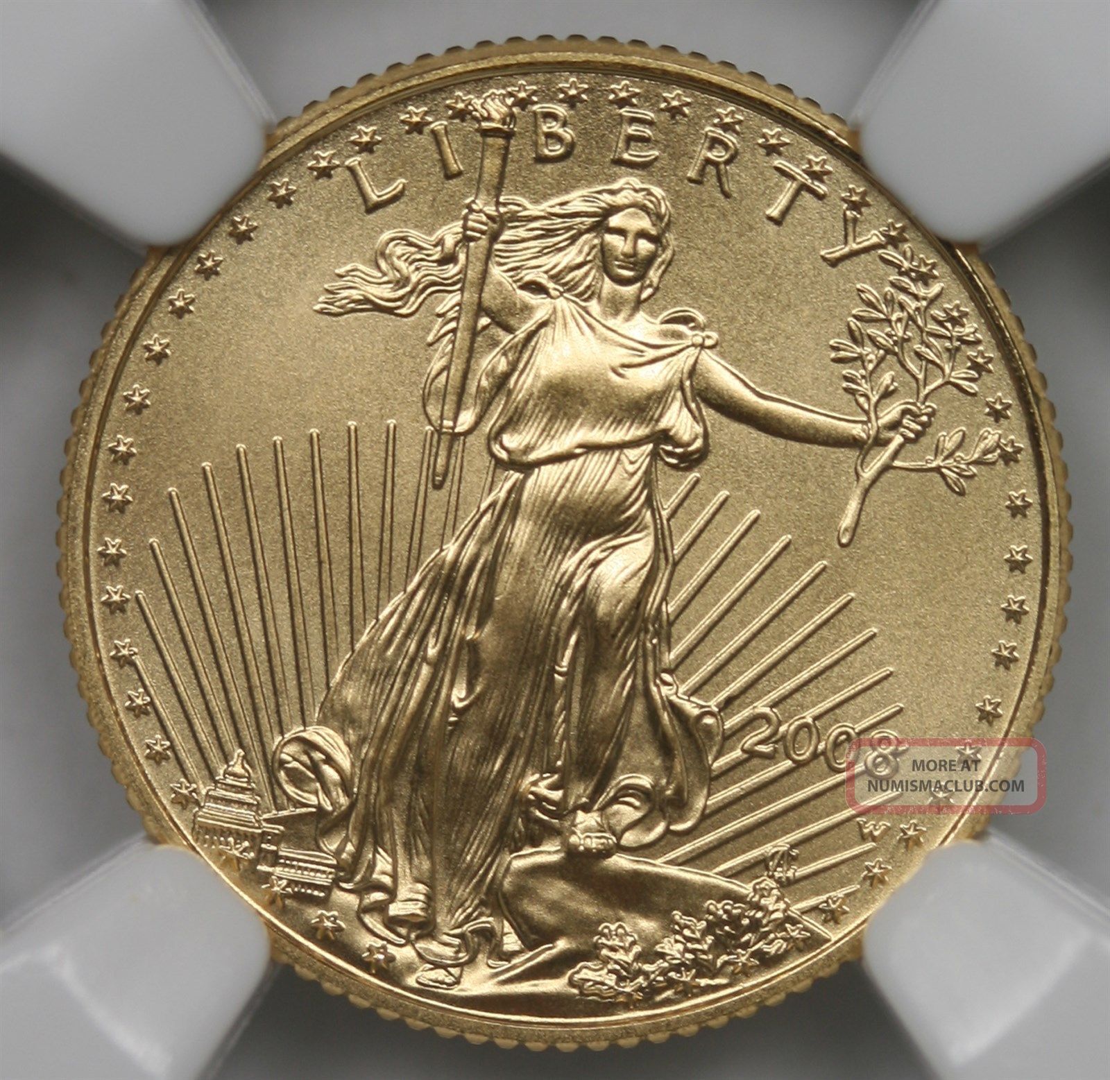 2008 - W Burnished Gold Eagle $5 Tenth - Ounce Ms 70 Ngc 1/10 Oz. Fine Gold
