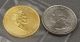 Rare 2002 Canada $20 Maple Leaf Elizabeth Ii,  1/2 Oz.  9999 Fine Gold Gold Coin Gold photo 5
