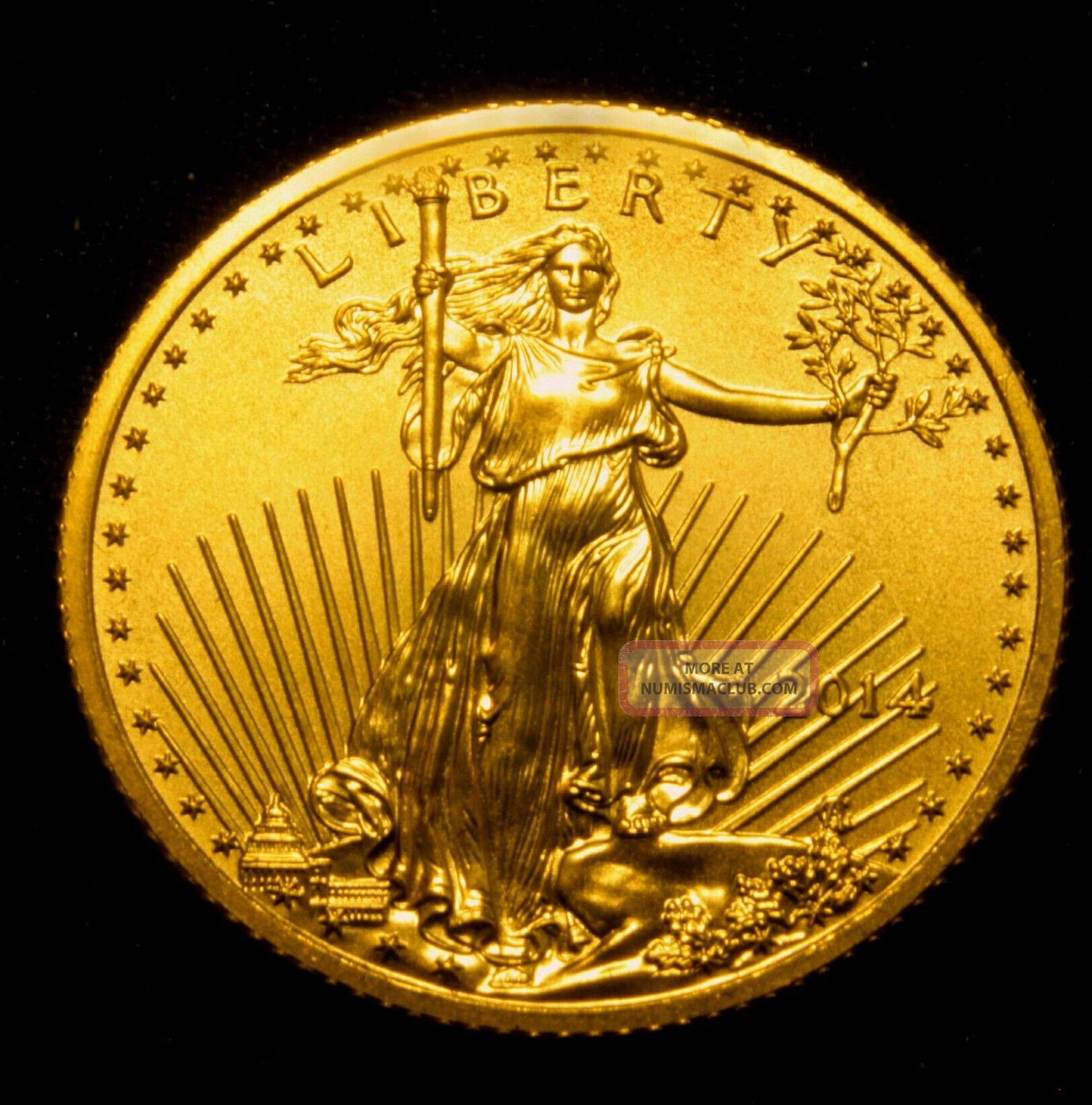 2014 Gold Eagle 10 Ten Dollar Bullion Coin 1/4 Ozt Gold