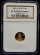 Ngc Pf 70 Ultra Cameo Proof 2006 W 1/10 Oz American Gold Eagle $5 Age C755 Gold photo 2