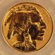 2013 - W 1oz Gold American Buffalo 100th Anniversary Reverse Proof - - Gold photo 2