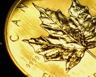1983 1oz Gold Canadian Maple Leaf Coin 1 Troy Oz.  9999 Gold photo