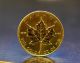 1983 1oz Gold Canadian Maple Leaf Coin 1 Troy Oz.  9999 Gold Gold photo 1