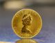 1983 1oz Gold Canadian Maple Leaf Coin 1 Troy Oz.  9999 Gold Gold photo 2