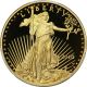 2010 - W Gold Eagle Half - Ounce $25 Pr 70 Dcam Deep Cameo Pcgs 1/2 Oz Fine Gold Gold photo 2