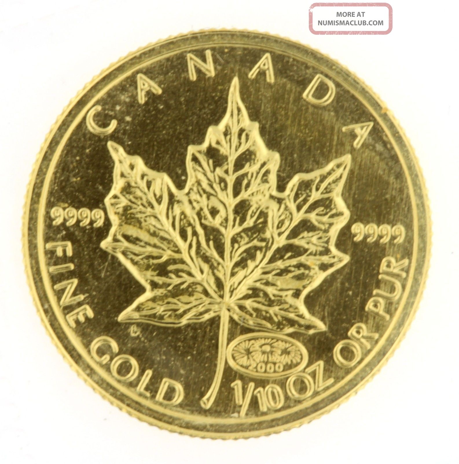 2000 5 Canadian Maple Leaf 1/10 Oz. 9999 Fine Gold Coin Bullion Uncirculated