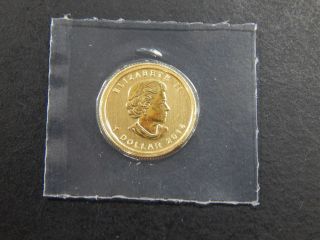 2014 1/20th Oz Gold Maple.  9999 Fine Bullion Coin photo