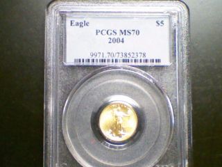 2004 1/10th Ounce American Gold Eagle Pcgs Ms 70 photo