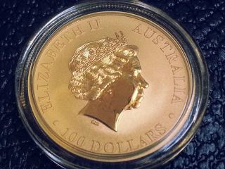 2012 1oz.  9999 Gold Australian Kangaroo Coin Slg329. photo