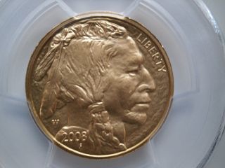 2008 - W Burnished Finish Half Ounce (1/2 Oz. ) $25 Gold Buffalo,  Pcgs Ms69 photo