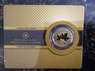 2008 1 Oz.  99999 Gold Canadian Maple Leaf Coin In Assay Card photo