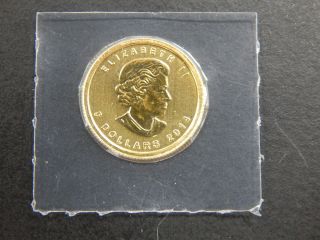 2014 1/10th Oz Gold Maple.  9999 Fine Bullion Coin photo