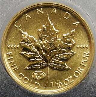 1998 1/10 Oz $5 Gold Canada Maple Leaf Family Of Eagles Privy Mark C786 photo
