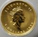 1998 1/10 Oz $5 Gold Canada Maple Leaf Family Of Eagles Privy Mark C786 Gold photo 1
