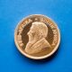 One Oz.  Krugerrand 1981 Coin - Almost Uncirculated Gold photo 1