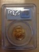 2001 Pcgs Ms69 Gold American Eagle $10 1/4 Ounce Gold Gold photo 1