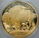 2008 W $10 Buffalo Gold 1/4 Oz Coin Ngc Pr 70 Ultra Deep Cameo Frosty Perfect Gold photo 1