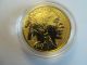 2013 1 Oz Gold American Buffalo,  Reverse Proof,  Packaging And Gold photo 1