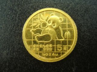 1989 China Gold Panda 5 Yuan 1/20 Oz Gold Coin photo