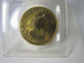 1987 Canada 5 Dollar Gold Maple Leaf 1/10th Ounce Coin photo