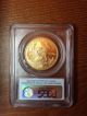 2007 - W $50 1 Oz.  Gold American Eagle Pcgs Ms70 First Strike Gold photo 1
