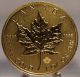 2014 Canada Gold 1 Oz Maple Leaf,  1 Ounce.  9999 Fine Gold Coin,  Gold Bullion Gold photo 1