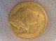 2013 Brilliant Uncirculated 1 Oz Gold American Buffalo $50 Coin Gold photo 1
