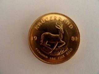 1981 1 Ounce Gold Krugerrand Coin Bu Uncertified photo