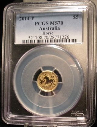 2014 - P Australian Gold Horse Pcgs Ms 70 $5 1/20 Oz.  999 Fine Gold Coin Australia photo
