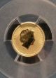 2014 - P Australian Gold Horse Pcgs Ms 70 $5 1/20 Oz.  999 Fine Gold Coin Australia Gold photo 2