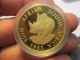 1995 South Africa 1 Ounce Gold Rhinoceros 24k.  9999 Coin Low Mintage Gold photo 2