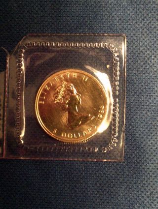 1983 Canadian Maple $5 Dollar 1/10th Gold photo
